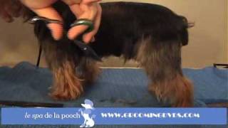 How To Groom A YorkieTrim The Yorkshire Terrier Traditional CutGrooming With Andis Clippers [upl. by Imer]