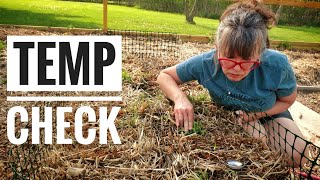 STRAW BALE GARDENING  1 Week Conditioning Update [upl. by Lemuela]