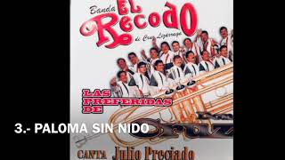 Banda El Recodo Las Preferidas De Don Cruz Album Completo [upl. by Ayalat82]