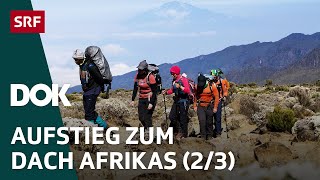 Abenteuer Kilimandscharo – Auf Expedition in Tansania 23  DOK  SRF [upl. by Halsey]