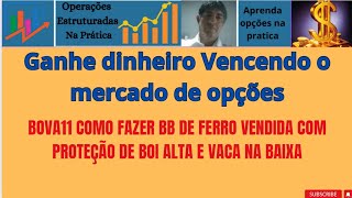 BOVA11 COMO FAZER BB DE FERRO VENDIDA COM PROTEÇÃO DE BOI ALTA E VACA NA BAIXA [upl. by Woodhead]