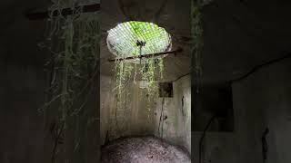 Exploring an Atlantic Wall Bunker in SheveningenHague ww2 history atlantikwall military [upl. by Oiramed]