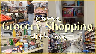 GROCERY SHOPPING FOR MY NEW APARTMENT huge haul amp prices included  moving series ep 4 [upl. by Theola]