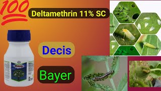 Bayer Insecticide। Deltamethrin11 EC।Bayer ।Decis।Crop Science। Insecticide।Technical Agriculture [upl. by Renell]