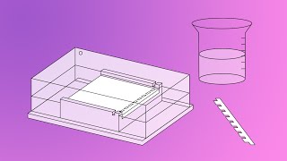 DNALC Short Preparation of an Agarose Gel [upl. by Eurd]