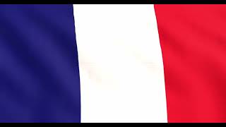 FLAG FRANCE  GREEN SCREEN  4k  ANIMATION  FREE 3D [upl. by Hairom]