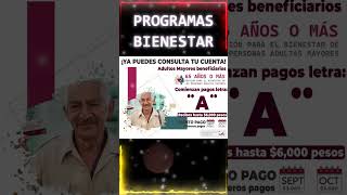 📌✨Por calendario de apellidos comienza la entrega de 6000 pesos de la Pensión Bienestar 2024 [upl. by Arikihs]