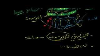 الشبكة الاندوبلازمية  Endoplasmic reticulum [upl. by Amandy930]