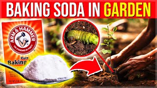 Add 1 Spoonful Of Baking Soda In Your Garden amp SEE What Happens Instantly [upl. by Ynnor]