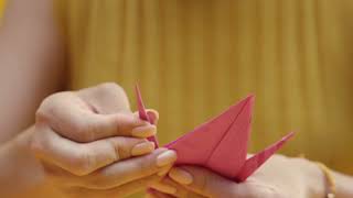 Les Présidents pour lAssurance Maladie  Bon usage du système  origami [upl. by Ahsenav]