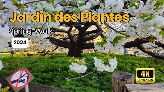 Jardin des Plantes A Parisian Adventure [upl. by Zilber]