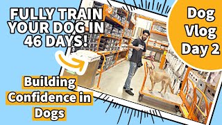 Building Confidence In Dogs  Dog Vlog Day 2 [upl. by Virgina312]