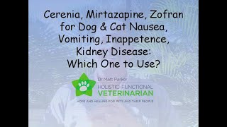 Cerenia Mirtazapine Zofran Dog amp Cat Nausea Vomiting Inappetence Kidney Disease Which to Use [upl. by Kachine]