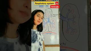 श्वसन तंत्रrespiratory systembiology zoology science gk new gs ssc [upl. by Jacky492]