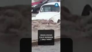 Puro quotVOCHOPOWERquot sorprende vochito al cruzar calle inundada shorts [upl. by Arol]