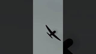 P47 Flyby [upl. by Haramat357]