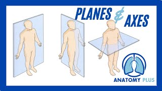 Planes of Motion amp Axes of Rotation [upl. by Sherlocke]