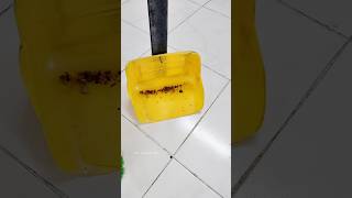 😱☄️Dustpan Making at home  Mr Adam bro [upl. by Three]