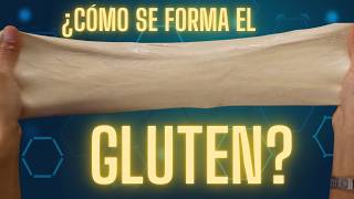 Ciencia del gluten ¿qué es y como se forma [upl. by Sigmund34]