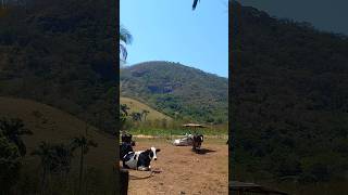 Fazenda em Minas Gerais [upl. by Stinky]