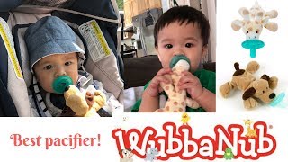 Best Infant Pacifier  WubbaNub Infant Pacifier [upl. by Ynnaffit]