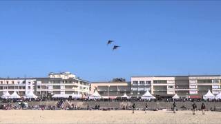 CerfsVolants Berck 2014  CerfsVolants Folie [upl. by Yrocal]