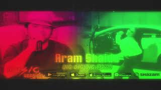 Aram Shaida  dig dig dig Remix DJ STREAM [upl. by Croft738]