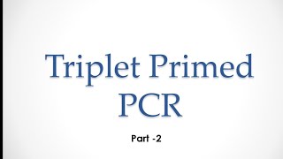 Triplet Primed PCR part 2 l tripletprimedpcr pcr [upl. by Barling]