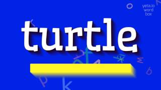 TURTLE  How to say Turtle [upl. by Hoffman]