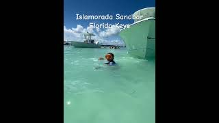 Islamorada Sandbar floridakeys islamorada boat swimming boating trending viralshorts fyp [upl. by Ahsienod846]