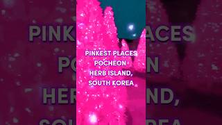 Pinkest Places on Earth  Korea [upl. by Htebaras]