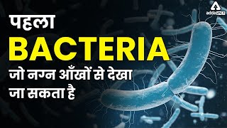 Worlds Largest Bacteria Ever Found  Thiomargarita Magnifica  Current Affairs 2022  Adda247 [upl. by Niobe175]