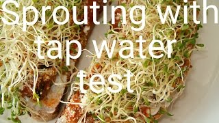 Sprouting seeds in tap water and more test [upl. by Berti]