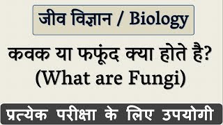 कवक या फफूंद क्या होते है  What are Fungi in Hindi  जीव विज्ञान Biology  Science Gk in Hindi [upl. by Nythsa]