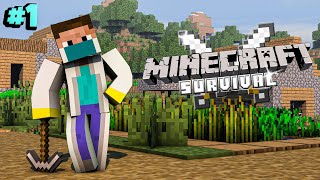 Mcaddon Survival Series 3rd Time New Beginning  Minecraft Hindi [upl. by Krutz]