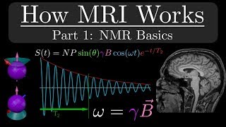 How MRI Works  Part 1  NMR Basics [upl. by Alrahc180]