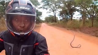 Trending video of a Nigerian female biker Ebaide who was almost attacked by a snake in Tanzania [upl. by Norret368]