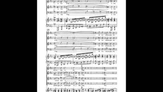 Brahms Deutsches Requiem 6th movement Alto [upl. by Llemart645]