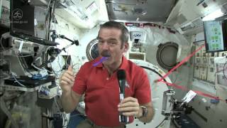 How To Brush Your Teeth In Space  Video [upl. by Nylek]