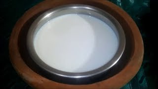 बिना फ्रिज दूध को लंबे समय तक स्टोर करने का तरीका  How To Store Milk Without Fridge [upl. by Anikehs588]