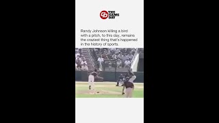 Randy Johnson Demolishes Bird With 100 MPH Fastball [upl. by Drofyar]