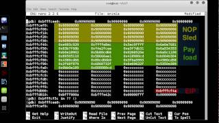 Animated Metasploit Linux Payload in gdb [upl. by Loughlin]