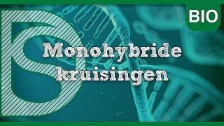 Examen biologie  Monohybride kruisingen Erfelijkheid [upl. by Ellener]