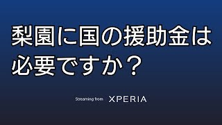 【Ace Racer】SONY XPERIA5Ⅳで日本一不安定なゲーム配信テスト 2023525 [upl. by Geof]