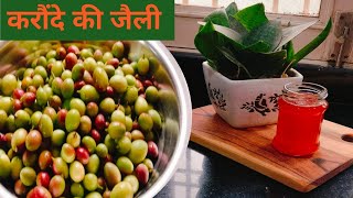 Karonde Ki Jelly Recipe  Karonde Ki Jelly Kaise Banate Hain  करौंदे की जेली  Karonde Ki Recipe [upl. by Ajssatan]