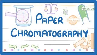 GCSE Chemistry  Paper Chromatography 63 [upl. by Naihs]