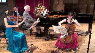 The Grier Trio play Brahms Piano Trio in B major Op 8 [upl. by Katonah936]