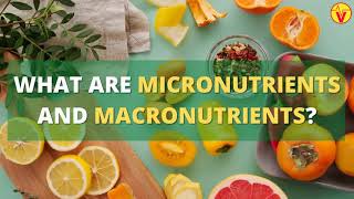 What Are Micronutrients And Macronutrients   VisitJoy [upl. by Tekcirk]