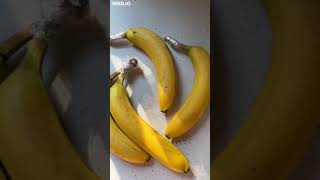 How to Keep Bananas Fresh for Longer shorts [upl. by Tatiania745]