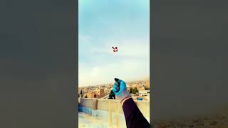 😱 Omg Viral Kite Flying viral shortvideo kiteflying kitelovers bigkitefighter kite shorts [upl. by Teirrah845]